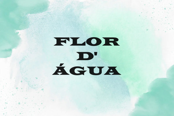 Flor D' Água Sapataria